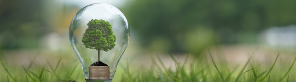 Energía renovable en tu hogar: paneles solares y más