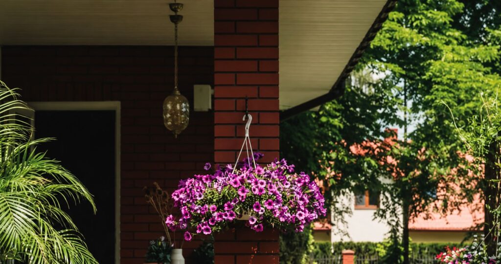 jardin entrada